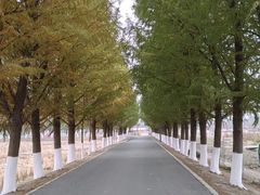 -嘉北郊野公园