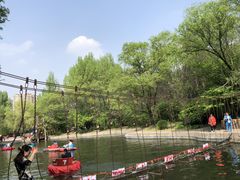 -黑龙江省森林植物园