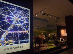 -特克斯八卦城