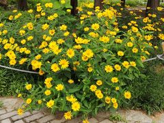 -国家植物园南园