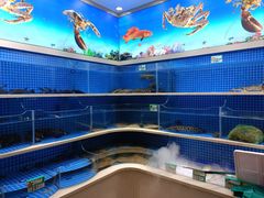 -大柴·宴宾楼(芥园西道店)