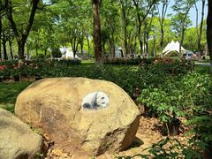 -上海鲜花港