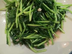 -福照楼汽锅鸡·云南特色菜(护国路店)