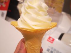 豆浆冰淇淋-永和大王(浦东南路店)