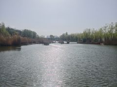 -伊犁河风景区