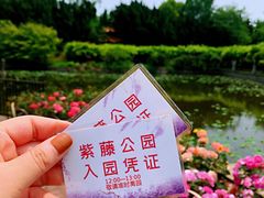 -嘉定紫藤园
