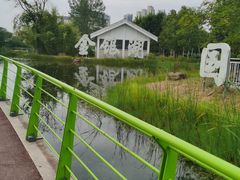 -金银湖国家城市湿地公园