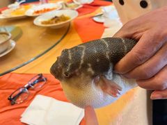 -长顺河豚馆(江洲东路)