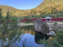 -广州市石门国家森林公园