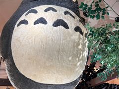 -伊豆泰迪熊博物馆
