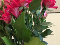 -南京圣和府邸豪华精选酒店