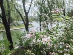 -朝阳公园
