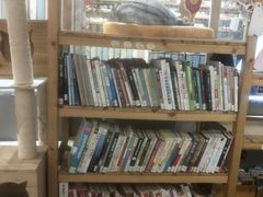 -小时光咖啡馆(开森度假森林店)