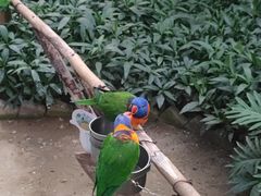 -南宫五洲植物乐园