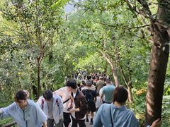 -紫金山山顶公园