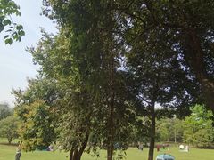 -杭州植物园