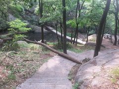 -鲁山国家森林公园