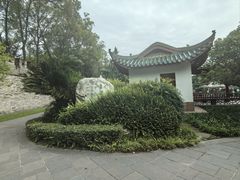-桂湖森林公园