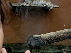 -青藏高原野生动物园