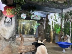 -海南热带野生动植物园
