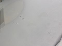 -津悦·正阳春烤鸭(红旗南路店)