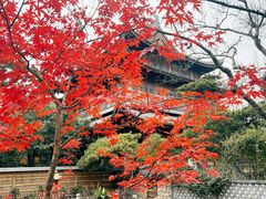 -龙华寺