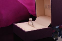 DSC_7392-威德钻石-克拉钻大本营(南京东路店)