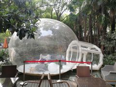 -马勒别墅·中餐厅