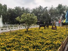 -丰台花园