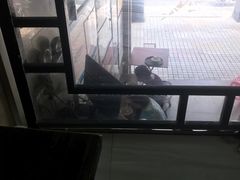 -老西关濑粉(文明路店)