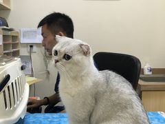 -芭比堂动物医院·犬猫全科·异宠专科(雁塔分院)