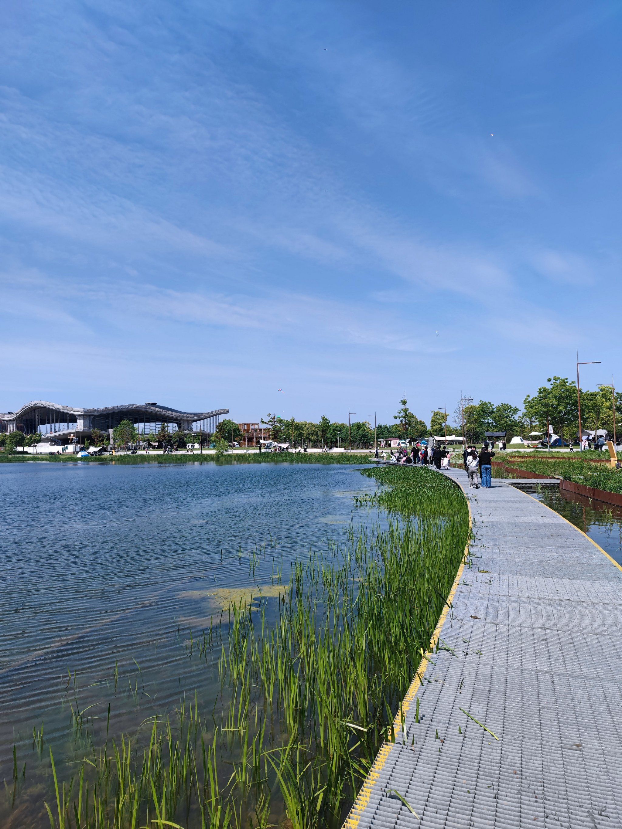 一片绿意盎然的好地方