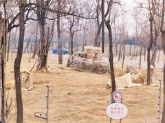 -秦皇岛野生动物园