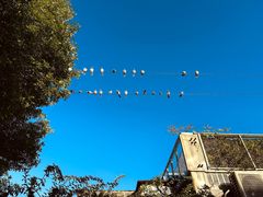 -VOYAGE COFFEE(北锣鼓巷店)