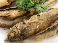 -烁佳海鲜大馅饺子