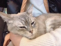 -脉冲品质汽美·贴膜(闵行店)