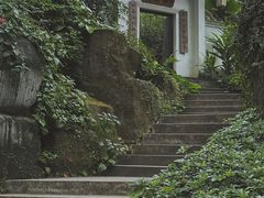 -广州兰圃