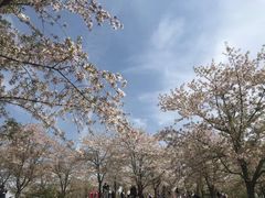 -浙江大学(玉泉校区)