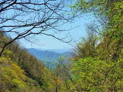 -王顺山国家森林公园