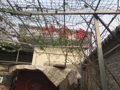 -伊隆斋(什刹海店)