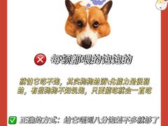 -佩兹宠物医院肿瘤专科·眼科·牙科(黄浦店)