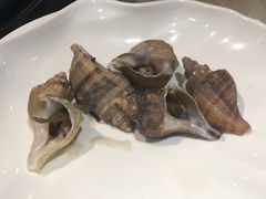 -海大大蒸汽海鲜餐厅·粤菜·特色小炒(欢乐颂店)