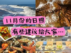 -日照海滨国家森林公园
