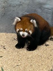 -Zoolung Zoolung动物主题公园(海信广场店)