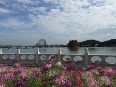 -野狸岛