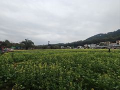 -红山村