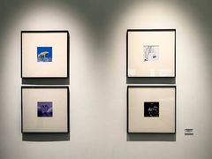 -罗红摄影艺术馆