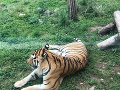 -西安秦岭野生动物园