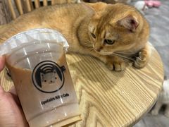 -楼上猫咖(罗湖店)