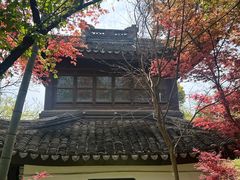 -木子山庄·安徽省老字号·中国炖锅宴